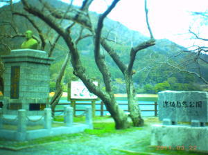 image-2011032203.jpg