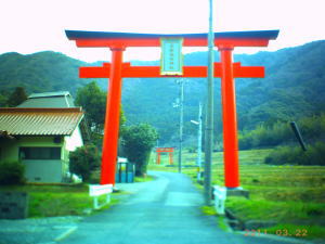 image-2011032206.jpg
