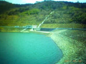 image-2011032208.jpg
