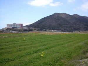 image-2011032503.jpg