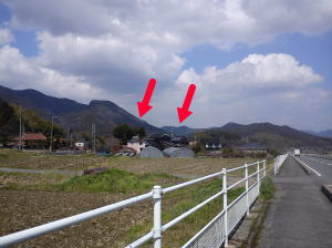 image-2011032505.jpg